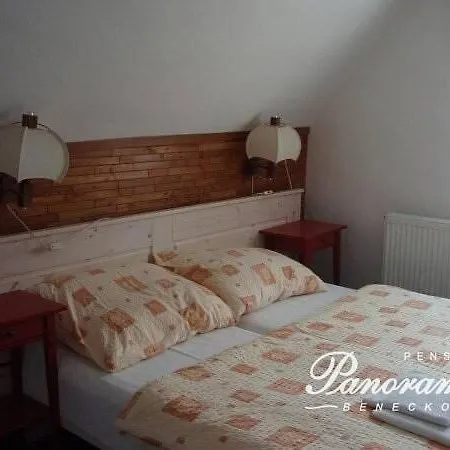 Panorama Sauna 9 Rooms,12 Bedrooms,27 Beds Ferienhaus Benecko