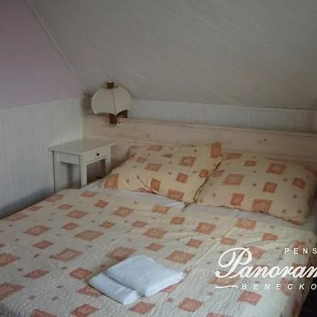 Panorama Sauna 9 Rooms,12 Bedrooms,27 Beds Ferienhaus *