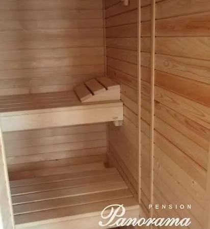 Panorama Sauna 9 Rooms,12 Bedrooms,27 Beds Ferienhaus Benecko